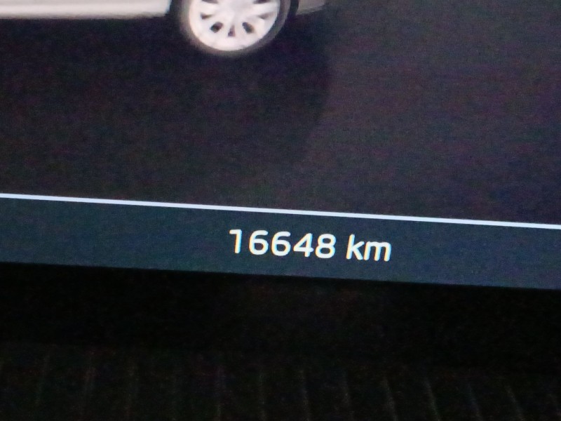 skoda kamiq (nw4) del año 2024