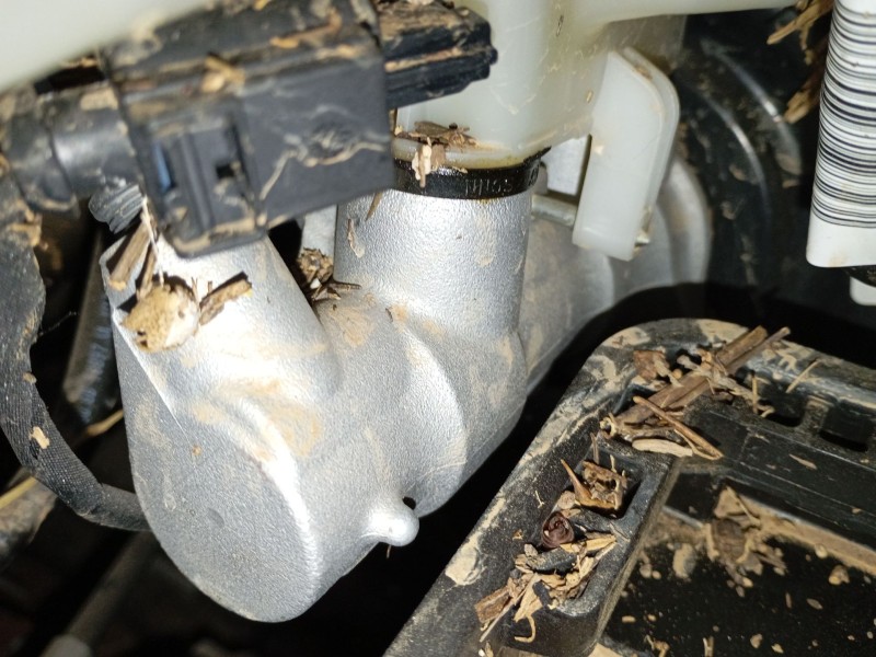 Recambio de bomba freno para skoda kamiq (nw4) 1.0 tsi referencia OEM IAM   