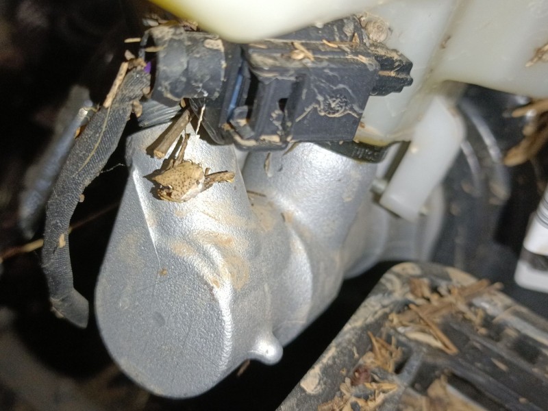 Recambio de bomba freno para skoda kamiq (nw4) 1.0 tsi referencia OEM IAM   