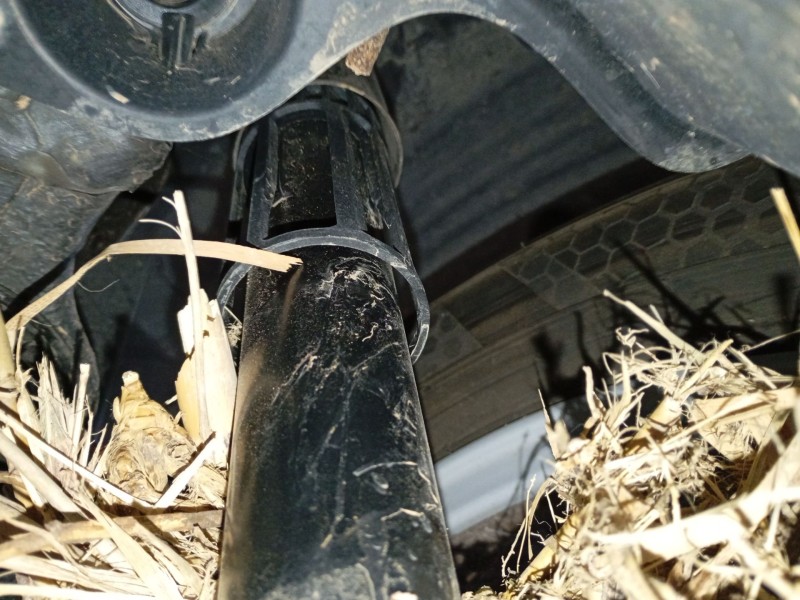 Recambio de amortiguador trasero derecho para skoda kamiq (nw4) 1.0 tsi referencia OEM IAM   