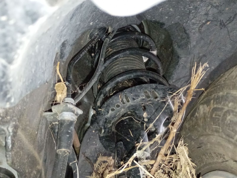 Recambio de amortiguador delantero derecho para skoda kamiq (nw4) 1.0 tsi referencia OEM IAM   