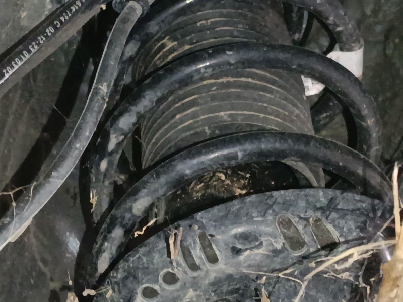 Recambio de amortiguador delantero derecho para skoda kamiq (nw4) 1.0 tsi referencia OEM IAM   