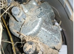 Recambio de pinza freno delantera izquierda para skoda kamiq (nw4) 1.0 tsi referencia OEM IAM   