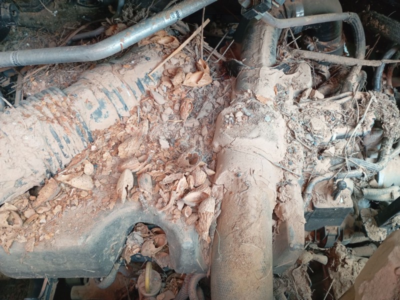 renault master iii furgoneta (fv) del año 2020