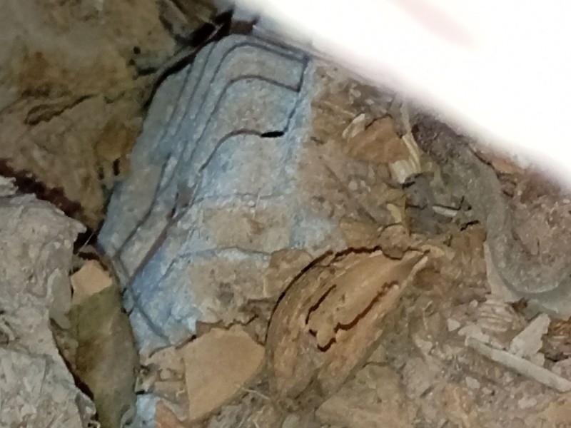 Recambio de alternador para renault master iii furgoneta (fv) 2.3 dci 135 fwd (fv0n, fv08) referencia OEM IAM   