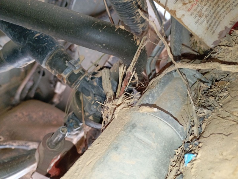 Recambio de cremallera direccion para renault master iii furgoneta (fv) 2.3 dci 135 fwd (fv0n, fv08) referencia OEM IAM   