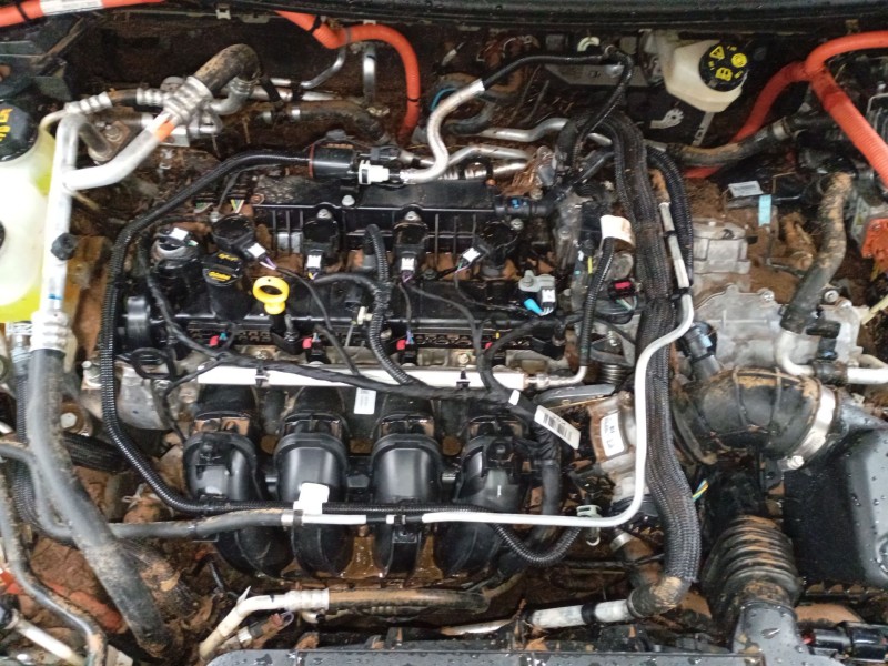 ford kuga iii (dfk) del año 2019