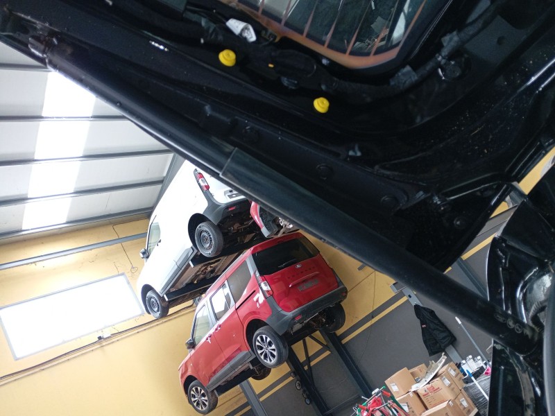 Recambio de amortiguador porton trasero izquierdo para ford kuga iii (dfk) 2.5 duratec plug-in-hybrid referencia OEM IAM   