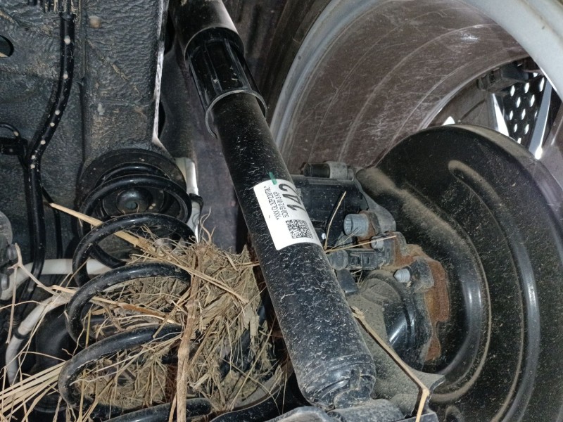 Recambio de amortiguador trasero derecho para skoda karoq (nu7, nd7) 1.5 tsi referencia OEM IAM 5Q0512013KP  