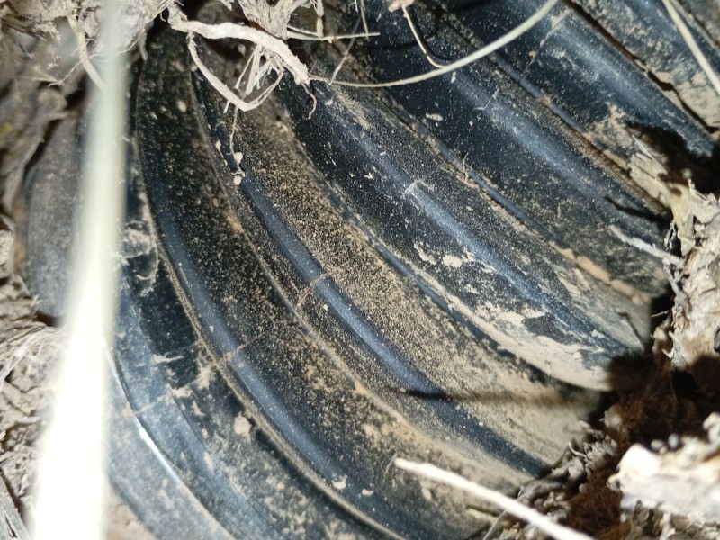 Recambio de transmision delantera derecha para ford kuga iii (dfk) 2.5 duratec plug-in-hybrid referencia OEM IAM   