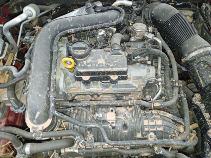 skoda kamiq (nw4) del año 2024