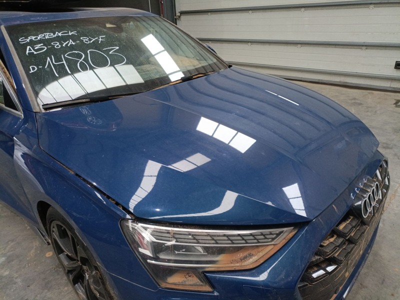 Recambio de capot para audi a3 sportback (8ya, 8yf) 35 tdi referencia OEM IAM   