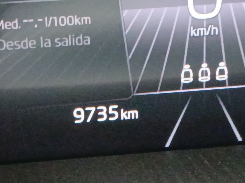 skoda kamiq (nw4) del año 2024