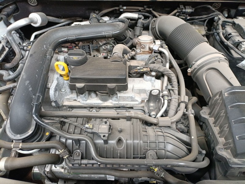 skoda kamiq (nw4) del año 2024