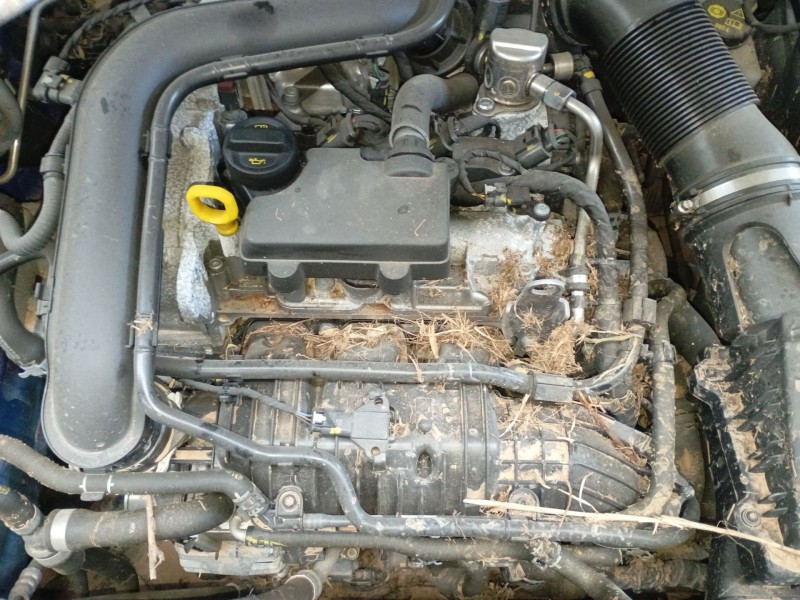 skoda fabia iv (pj3) del año 2023