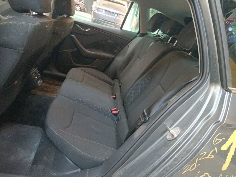 skoda kamiq (nw4) del año 2024