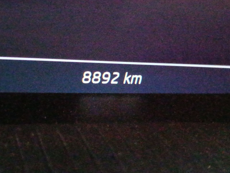 skoda kamiq (nw4) del año 2024