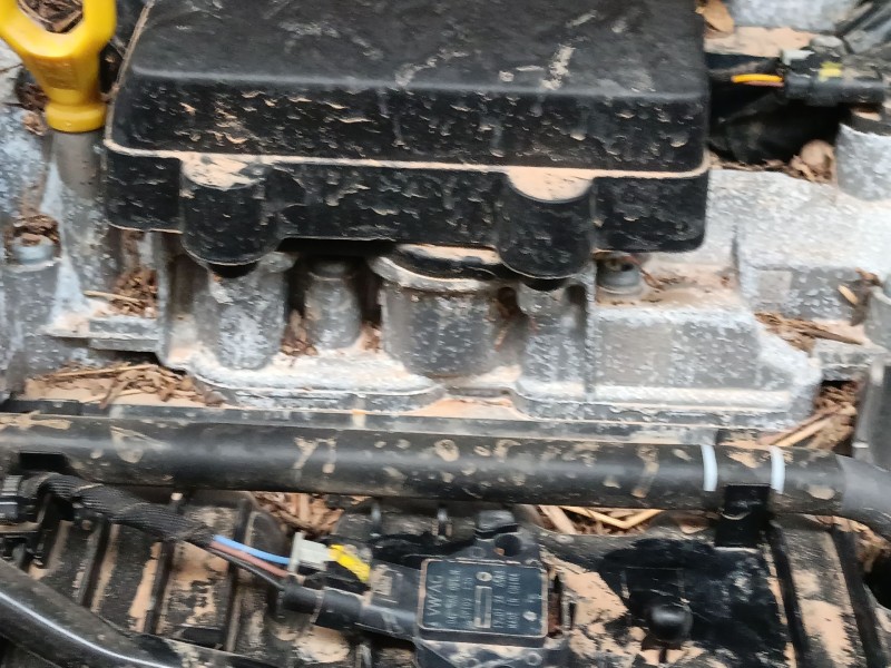 skoda kamiq (nw4) del año 2024