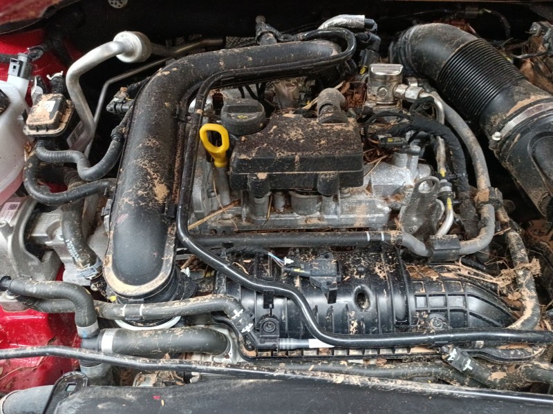 skoda kamiq (nw4) del año 2024