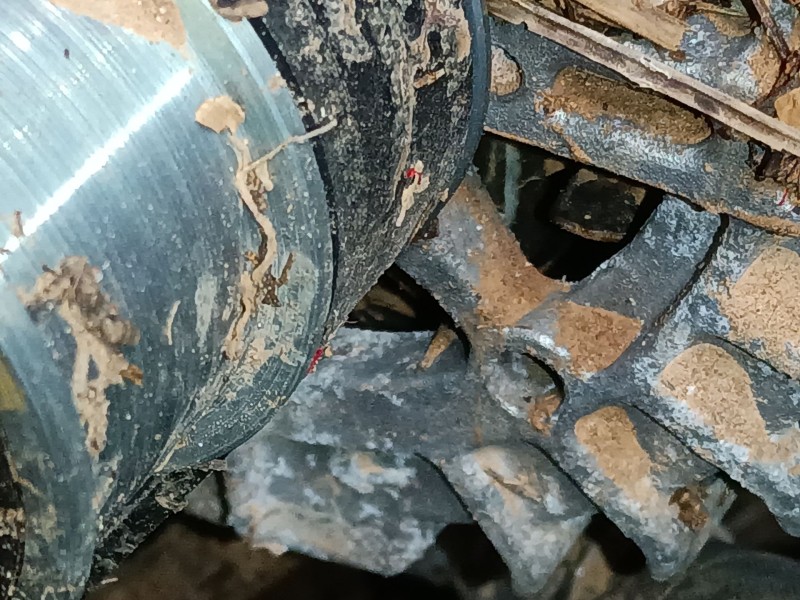 Recambio de alternador para skoda kamiq (nw4) 1.0 tsi referencia OEM IAM   