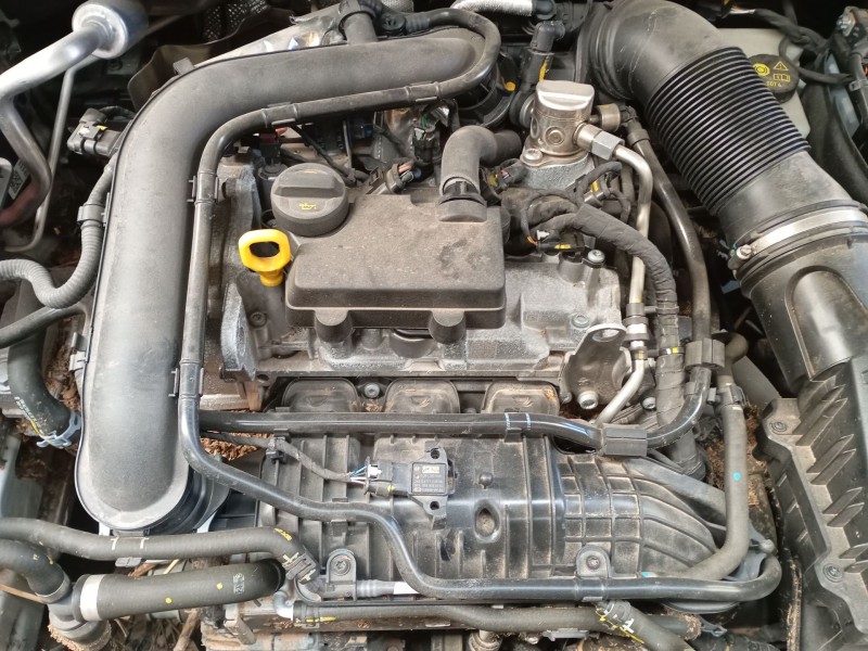 skoda fabia iv (pj3) del año 2024