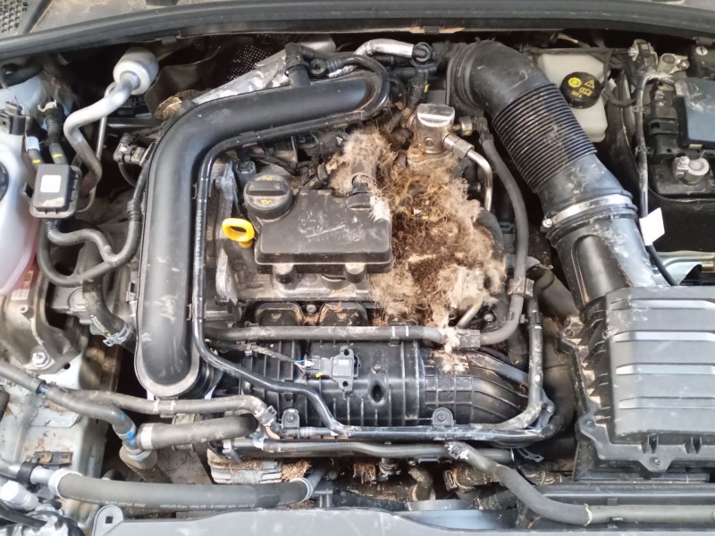 skoda fabia iv (pj3) del año 2024