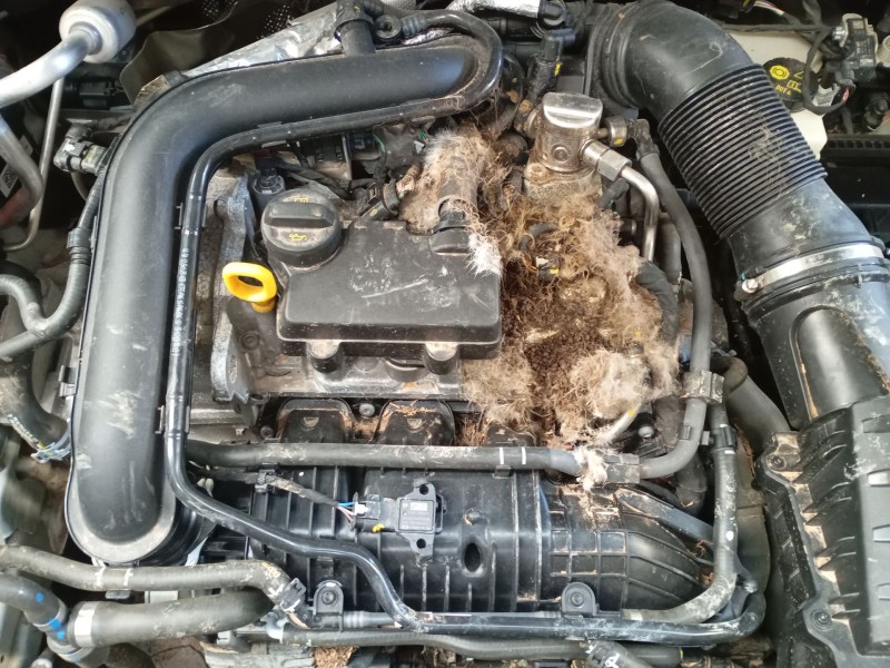 Recambio de motor completo para skoda fabia iv (pj3) 1.0 tsi referencia OEM IAM   