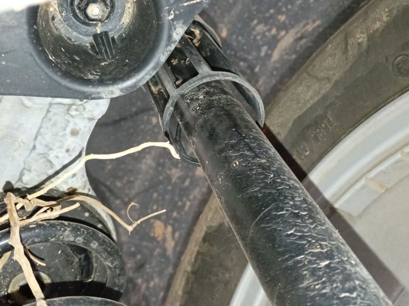 Recambio de amortiguador trasero derecho para skoda fabia iv (pj3) 1.0 tsi referencia OEM IAM   