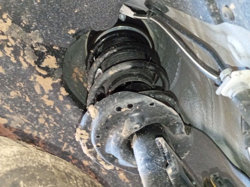 Recambio de amortiguador delantero izquierdo para skoda fabia iv (pj3) 1.0 tsi referencia OEM IAM   