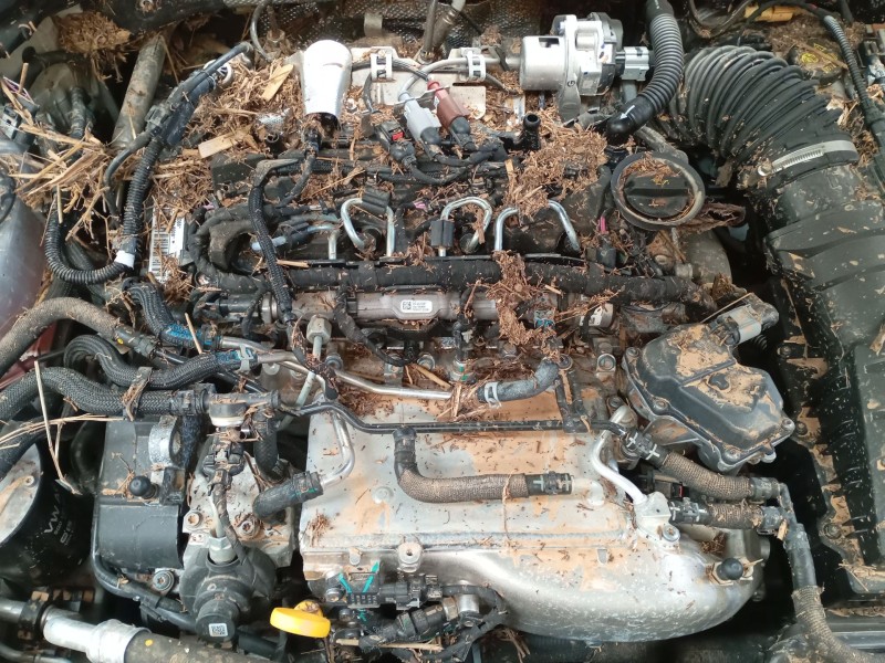 skoda octavia iv (nx3, nn3, pv3) del año 2024