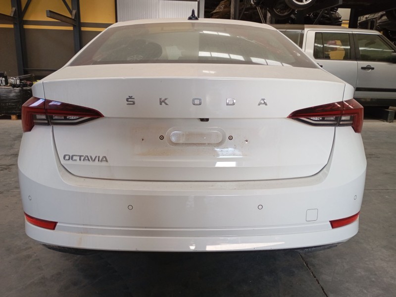 skoda octavia iv (nx3, nn3, pv3) del año 2024