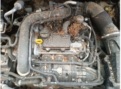volkswagen polo vi (aw1, bz1, ae1) del año 2024 2