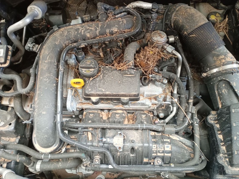 volkswagen polo vi (aw1, bz1, ae1) del año 2024