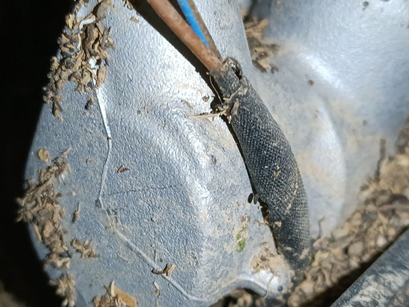 Recambio de bomba freno para skoda karoq (nu7, nd7) 1.5 tsi referencia OEM IAM   