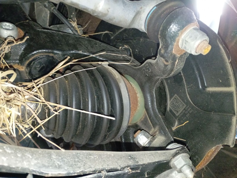 Recambio de mangueta delantera derecha para volkswagen polo vi (aw1, bz1, ae1) 1.0 tsi referencia OEM IAM   