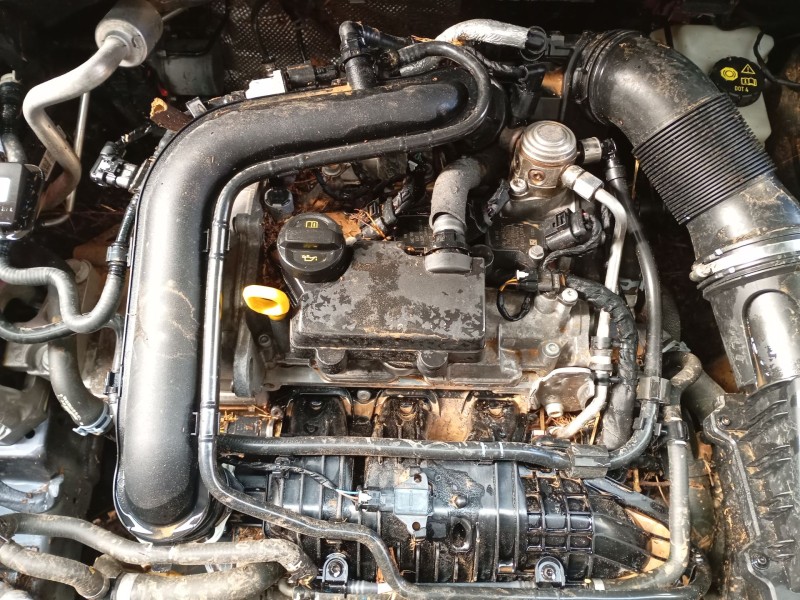 volkswagen polo vi (aw1, bz1, ae1) del año 2024