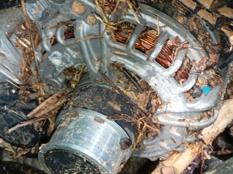 Recambio de alternador para volkswagen polo vi (aw1, bz1, ae1) 1.0 tsi referencia OEM IAM   