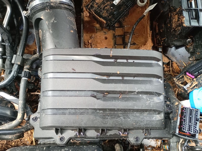 Recambio de filtro aire para volkswagen polo vi (aw1, bz1, ae1) 1.0 tsi referencia OEM IAM   