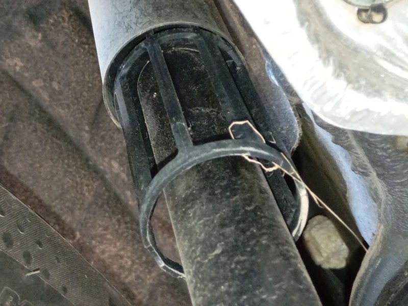 Recambio de amortiguador trasero izquierdo para volkswagen polo vi (aw1, bz1, ae1) 1.0 tsi referencia OEM IAM   