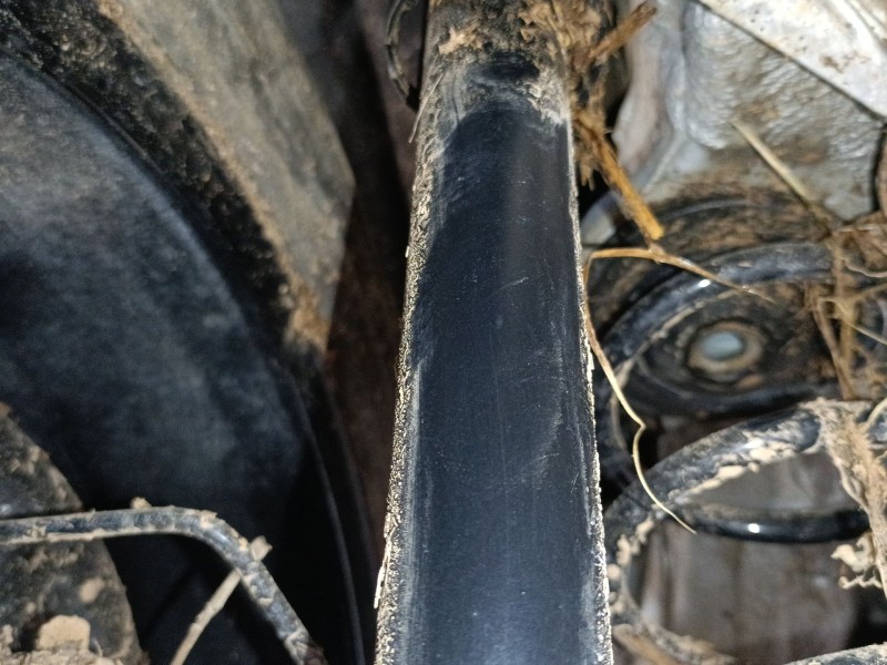 Recambio de amortiguador trasero derecho para volkswagen polo vi (aw1, bz1, ae1) 1.0 tsi referencia OEM IAM   