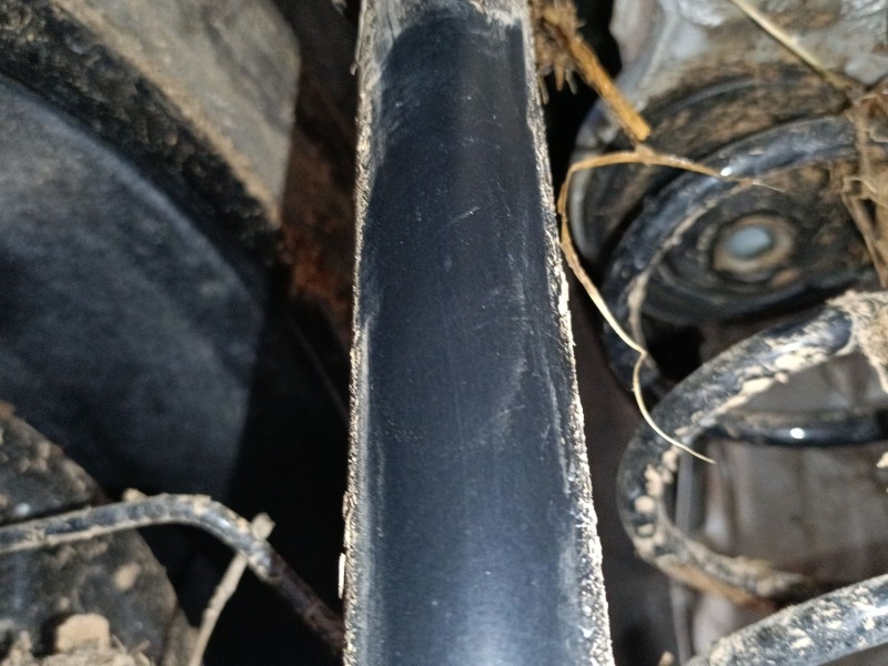 Recambio de amortiguador trasero izquierdo para volkswagen polo vi (aw1, bz1, ae1) 1.0 tsi referencia OEM IAM   