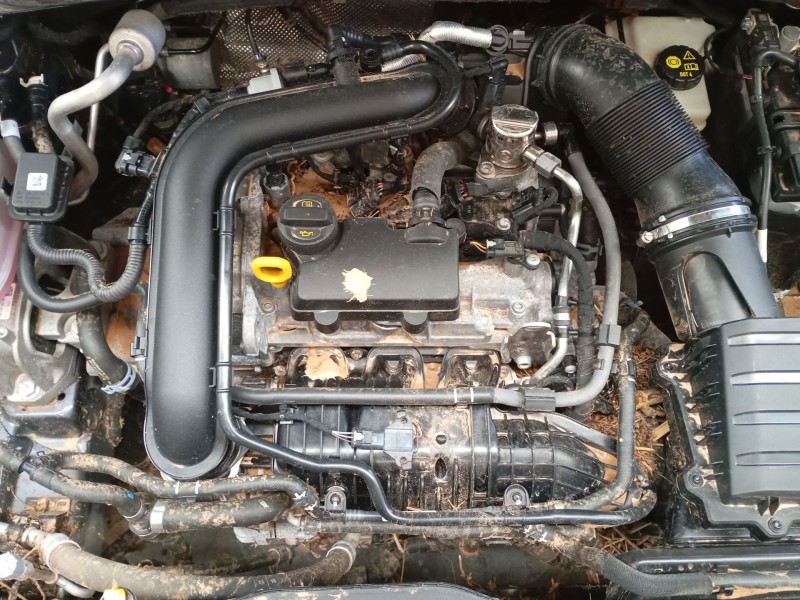 volkswagen polo vi (aw1, bz1, ae1) del año 2024