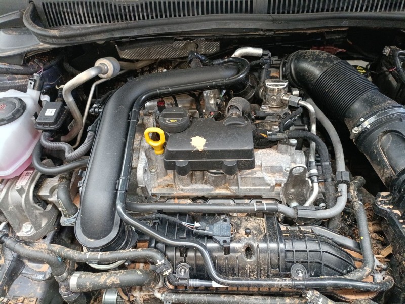 volkswagen polo vi (aw1, bz1, ae1) del año 2024