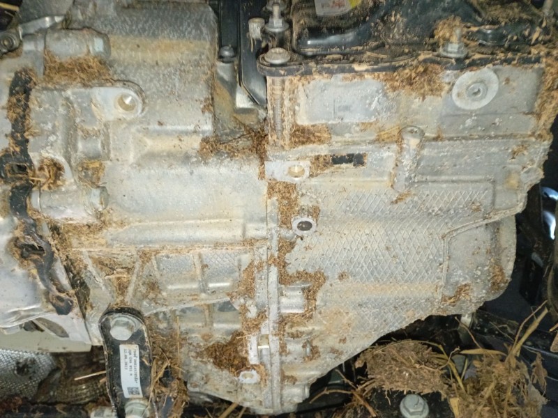 Recambio de caja cambios para volkswagen polo vi (aw1, bz1, ae1) 1.0 tsi referencia OEM IAM URH  