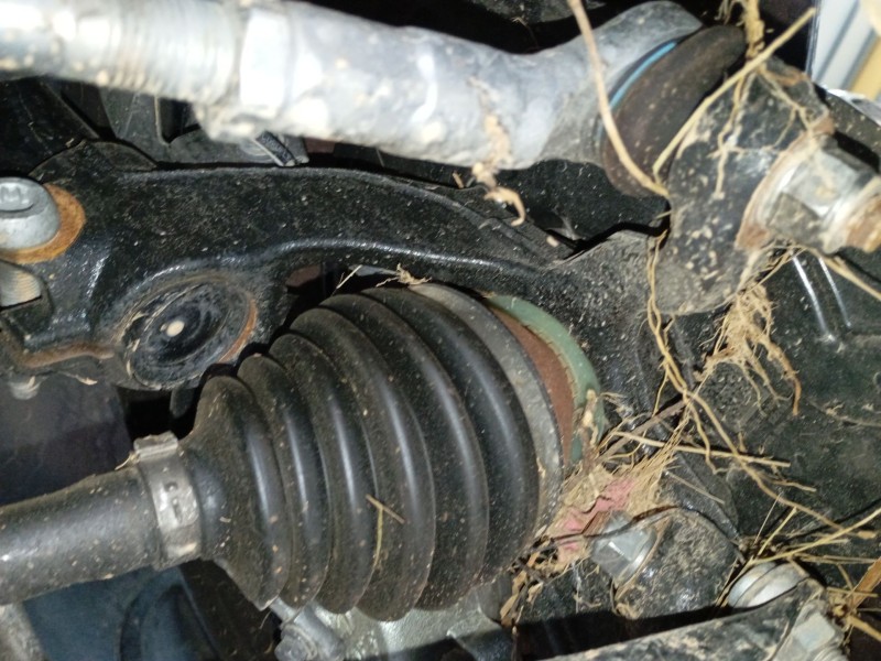 Recambio de mangueta delantera derecha para volkswagen polo vi (aw1, bz1, ae1) 1.0 tsi referencia OEM IAM   