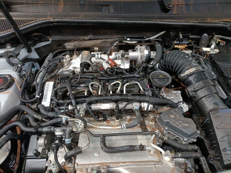 audi q2 (gab, gag) del año 2024