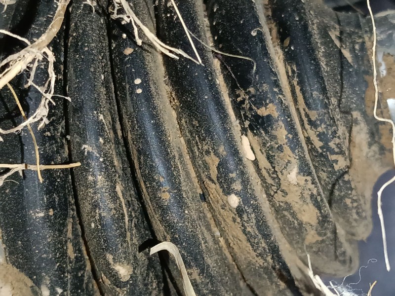 Recambio de transmision delantera derecha para audi q2 (gab, gag) 30 tdi referencia OEM IAM   