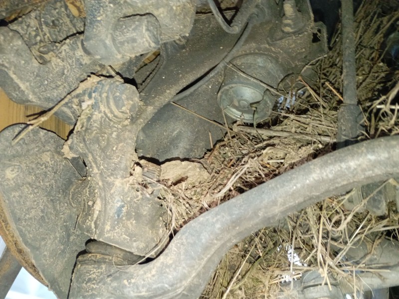 Recambio de mangueta delantera izquierda para bmw 3 (f30, f80) 318 d referencia OEM IAM   