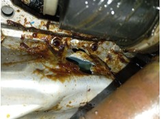 Recambio de motor completo para suzuki vitara (ly) 1.0 (apk 310) referencia OEM IAM    2