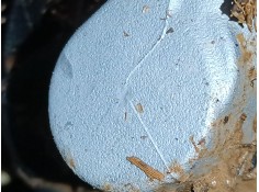 Recambio de bomba freno para audi a1 sportback (gba) 30 tfsi referencia OEM IAM   